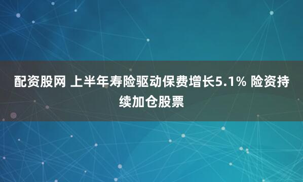 配资股网 上半年寿险驱动保费增长5.1% 险资持续加仓股票