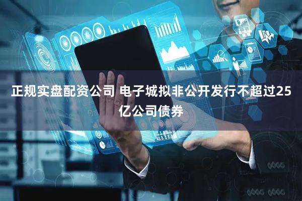 正规实盘配资公司 电子城拟非公开发行不超过25亿公司债券