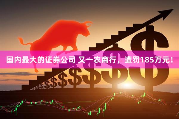 国内最大的证券公司 又一农商行，遭罚185万元！