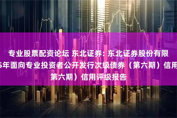 专业股票配资论坛 东北证券: 东北证券股份有限公司2025年面向专业投资者公开发行次级债券（第六期）信用评级报告