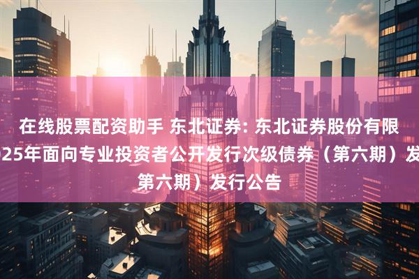 在线股票配资助手 东北证券: 东北证券股份有限公司2025年面向专业投资者公开发行次级债券（第六期）发行公告