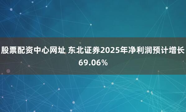 股票配资中心网址 东北证券2025年净利润预计增长69.06%