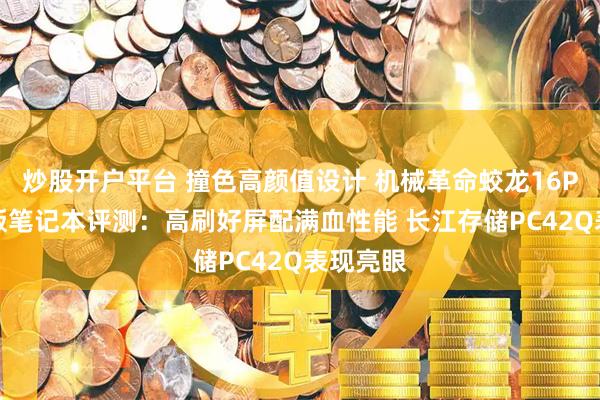 炒股开户平台 撞色高颜值设计 机械革命蛟龙16Pro潮玩版笔记本评测：高刷好屏配满血性能 长江存储PC42Q表现亮眼